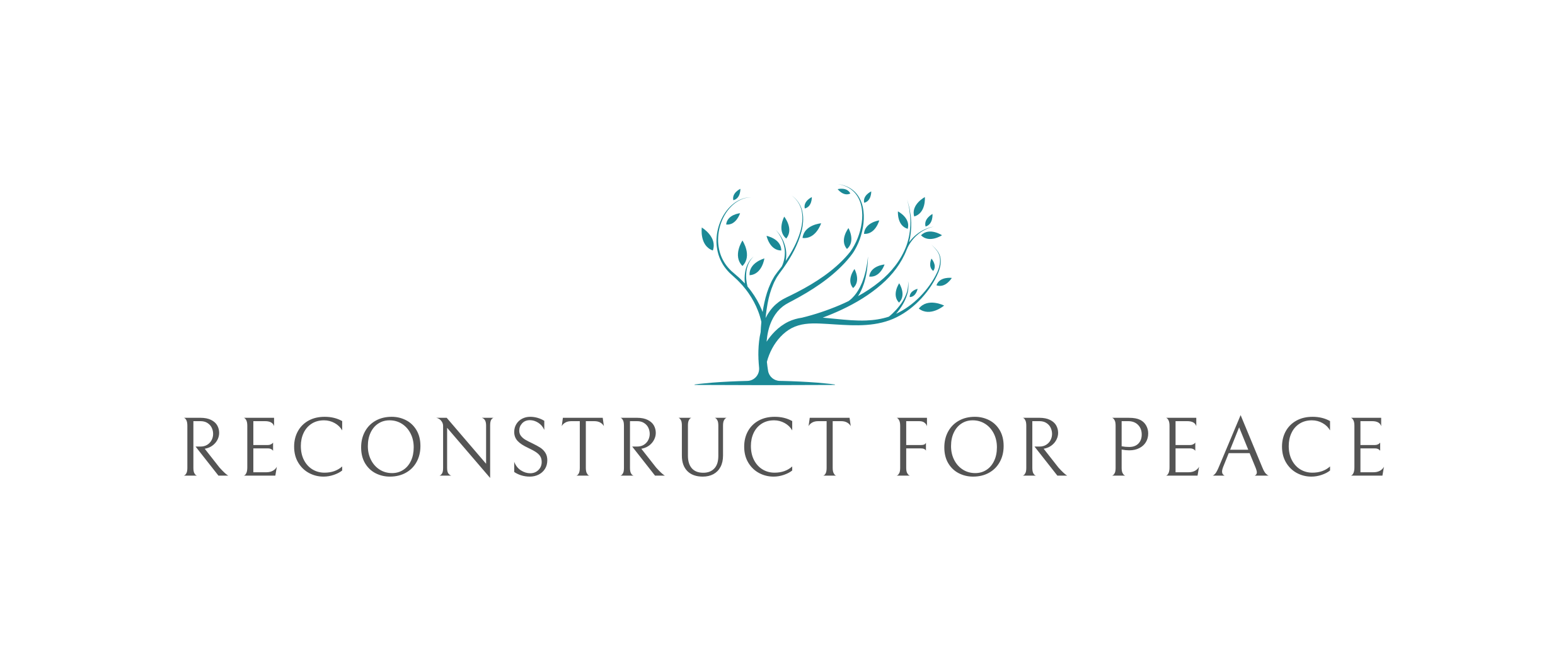 Reconstruct for Peace